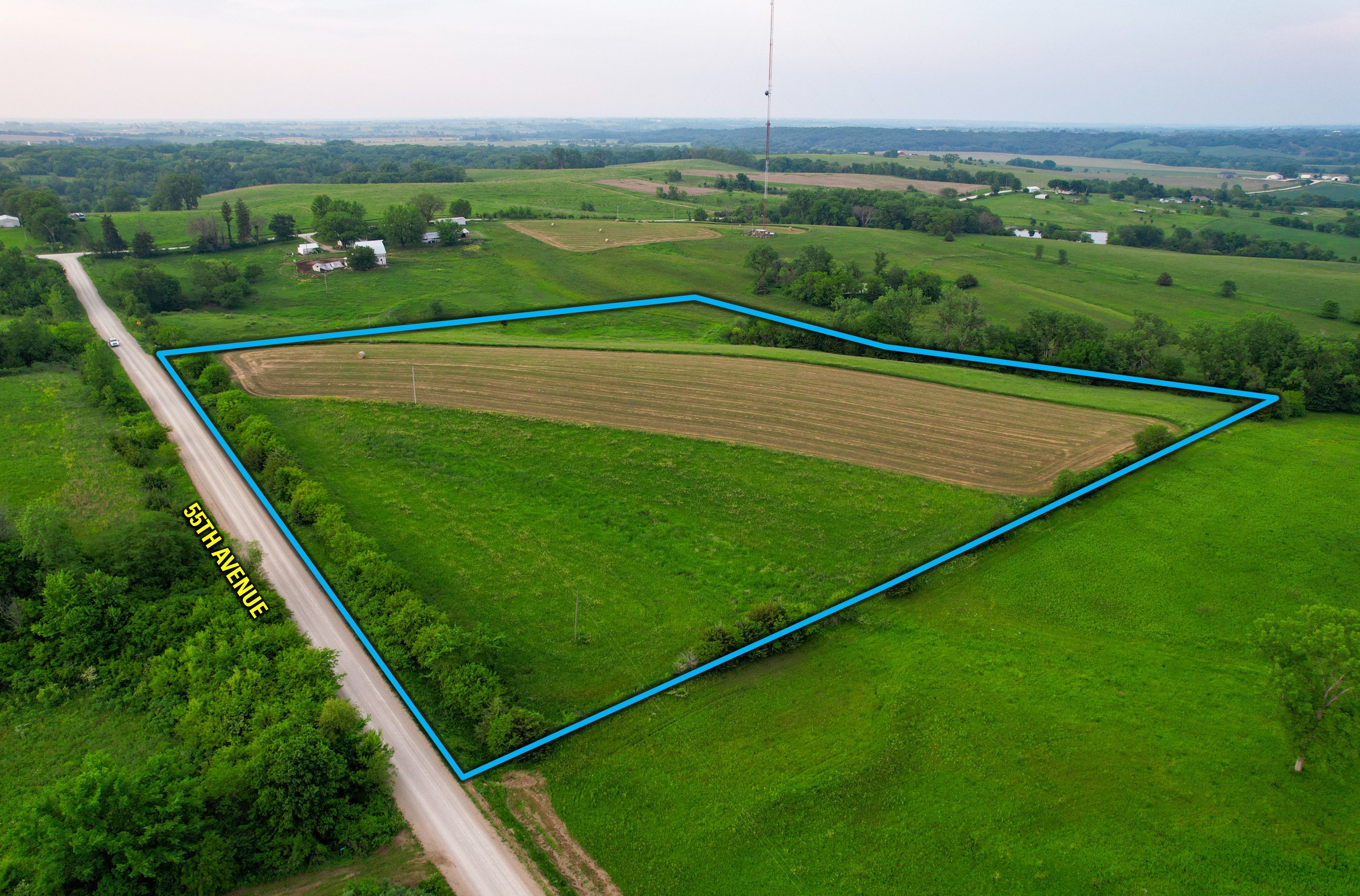 Listing Photo: 5 (3)